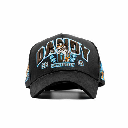 DANDY HATS "DANDY UNIVERSITY"