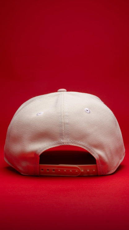 NEW ERA 9FIFTY A-FRAME CHROME/PINK WASHINGTON NATIONALS TWO TONE SNAPBACK